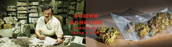 дмт Лагань