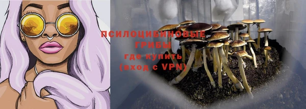 гидра Ладушкин