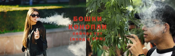 spice Мензелинск