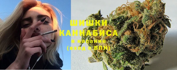 гидра Ладушкин